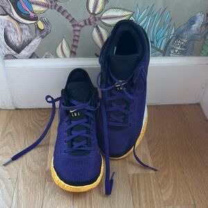 Nike LBJ basketball shoes